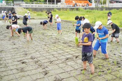  古川西小学校で5年生が田植え体験