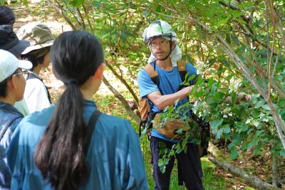 天生の森を守る保全活動にCoIU生が参加しました