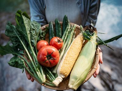 野菜写真