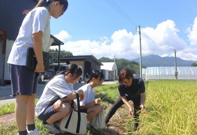 中学生が生産者訪ね、飛騨の食材の魅力を発信！