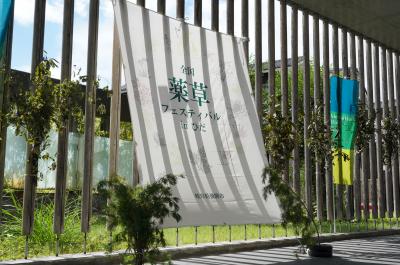 薬草フェス　フォトスポット