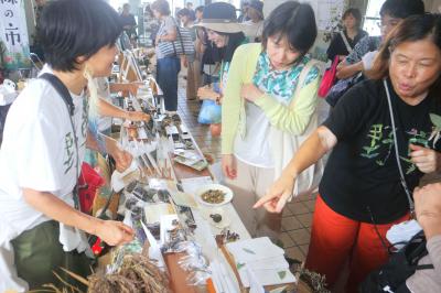 全国の薬草マニアが飛騨古川へ！ 過去最大規模で薬草フェスを開催